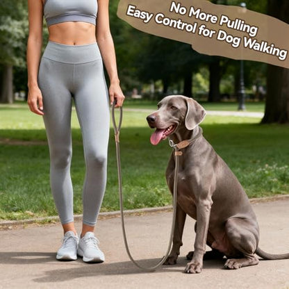 Mile High Life Heavy Duty Slip Lead No Pull Leash 6/5/4FT for Large Dogs - color: Khaki, size: 6 Feet