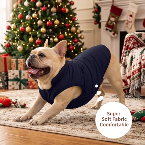 JoyDaog Fleece Lined Dog Jacket for Small Dogs,Winter Dog Coat,Blue M - color: Blue, size: Medium