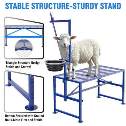 Goat Milking Stand Blue with Removable Feed Bin and Black Goat Ramp for Our Goat Stand 600 Lbs