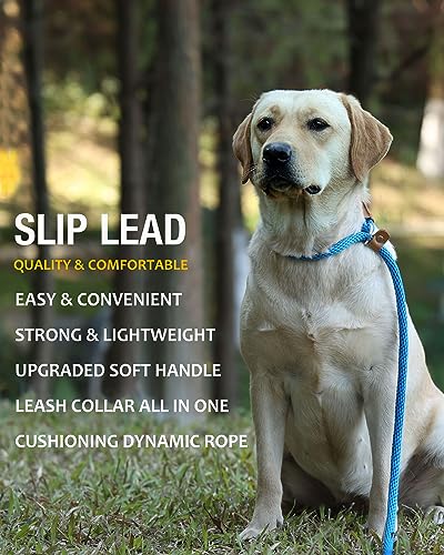 lynxking Dog Leash 1/2in x 5ft Slip Lead Blue and 3/8in x 6ft Slip Lead Reflective Black, 2 Pack