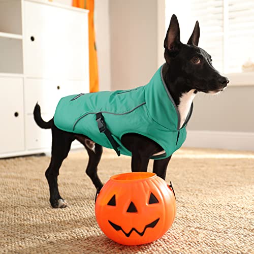 EMUST Dog Winter Coat, Waterproof Fleece Dog Jacket Winter for Medium Dogs - color: Turquoise, size: Medium