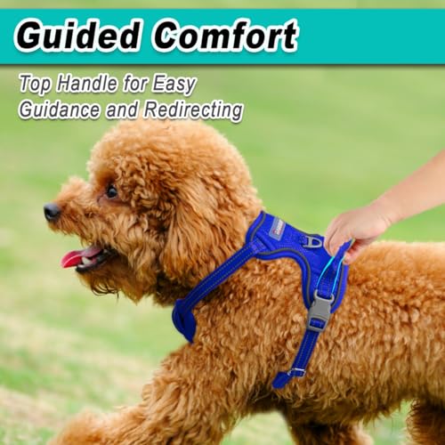 BARKBAY Dog Harness for Small Sized Dog No Pull Mesh 2 Clips Dog Vest - color: Sapphire Blue-Mesh, size: X-Small