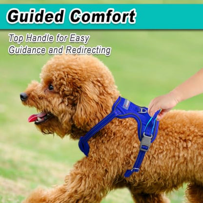 BARKBAY Dog Harness for Small Sized Dog No Pull Mesh 2 Clips Dog Vest - color: Sapphire Blue-Mesh, size: X-Small