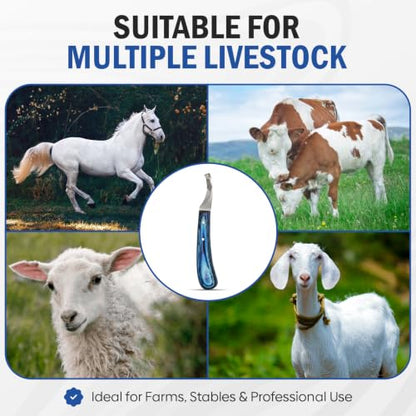 Equine Care Right-Handed Hoof Knife, J2 Stainless Steel, Farrier Tool
