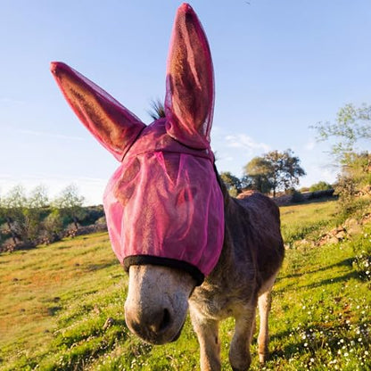 1 Pcs Mini Donkey Fly Mask with Ear Protection, Rose Red - size: Mini Donkey
