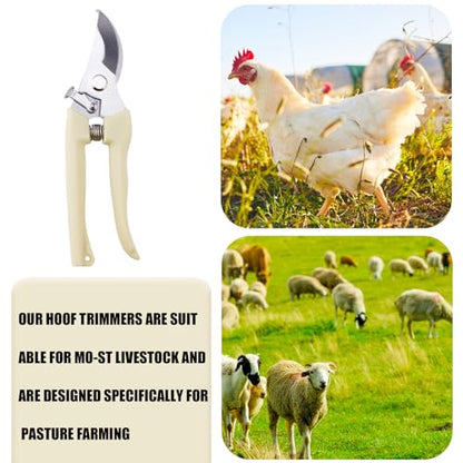 BOXOB Goat Hoof Trimmers, Stainless Steel Goat Toe Trimming Tool with Spring Hoof Shears Sheep Nail Clippers for Sheep Pigs Horses Livestock Nail Scissors and Garden Potted Tree Pruner Plant Pruning