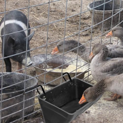 2 Hanging Feed Troughs & 2 Veggie Feeder for Chickens, Goats, Ducks - color: Charcoal