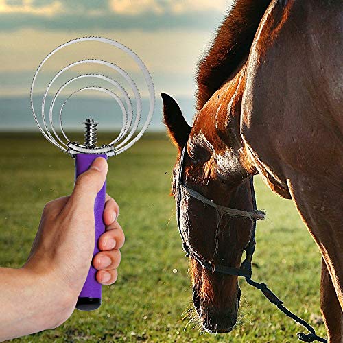 BOTH WINNERS Reversible Stainless Steel Curry Comb with Soft Touch Grip (Purple) - color: purple
