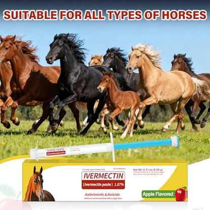 Horse Paste 1.87% – 12 Pack (6.08g Each) Apple Flavored Oral for Horses