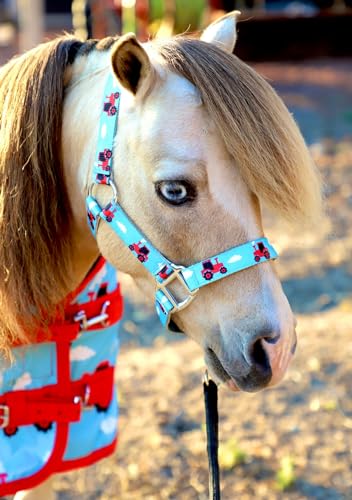 Star Point Horsemanship Rainbow Cheetah Halter - size: Large 33-40" Mini-Pony