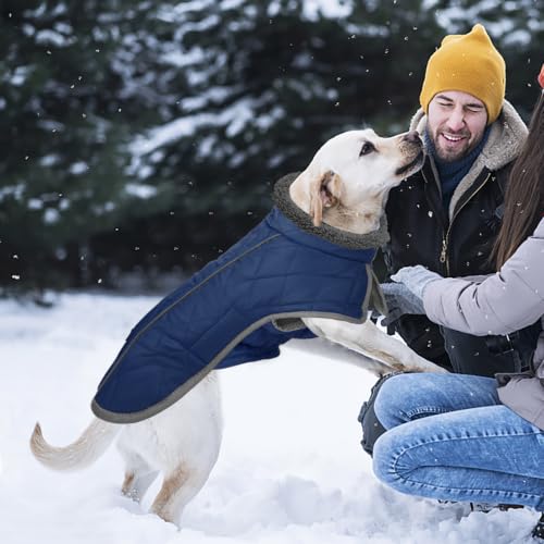 Fragralley Dog Coat Large, Waterproof Dog Jacket with Warm Fleece Lining, Adjustable Reflective Dogs Winter Coat, Turtleneck Pet Coats for Cold Weather (Blue XL) - color: Blue, size: X-Large