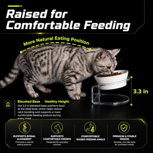 LivLab Mker Elevated Cat Bowls, Tilted Melamine, White, 2 Pack - color: 20LBS-3Pack-White-1
