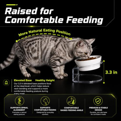 LivLab Mker Elevated Cat Bowls, Tilted Melamine, White, 2 Pack - color: 20LBS-3Pack-White-1