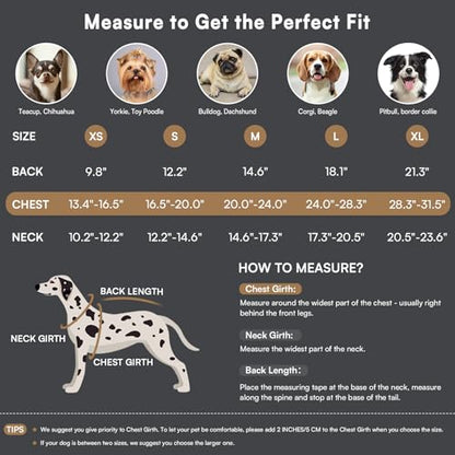 Queenmore Dog Winter Coat, Fleece Jacket, Waterproof Cold Weather Clothes - color: Grey, size: X-Small