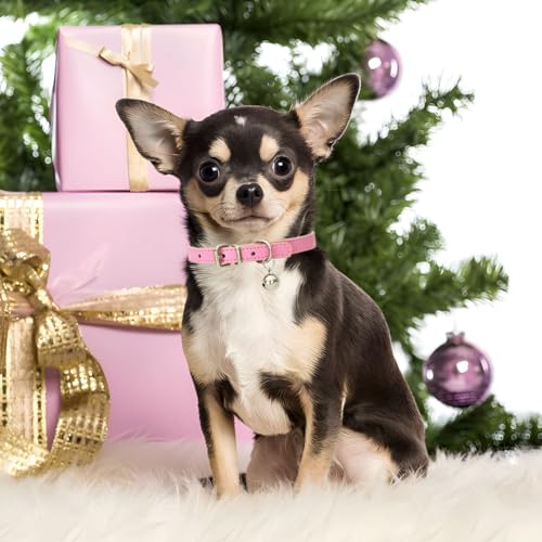 Pink XS Dog Collar with Bell, Leather XXS Puppy Cat Collars Kitten X-Small - color: 1Pink, size: XS for Neck 8"-10.5"