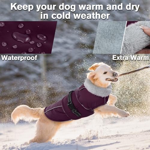 Lelepet Dog Jackets for Small Dogs Waterproof Dog Coat with Adjustable Fit - color: Dark Purple, size: M