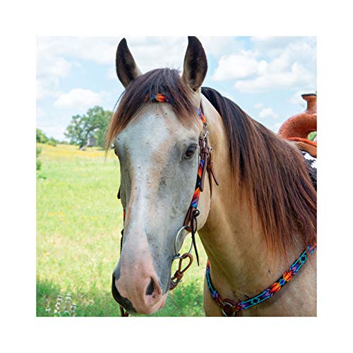 CIRCLE Y Infinity Wrap Bead Browband Headstall for Horse - color: Sunset