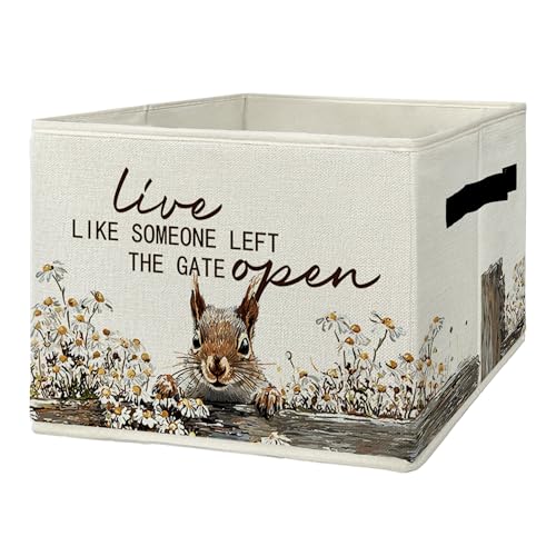 Rustic Squirrel Storage Bins & Boxes with Handles, Farmhouse Squirrel Foldable Basket for Organizing, Live Like Someone Left the Gate Open Collapsible Storage Basket for Bedroom Bathroom Clothes - color: Squirrel