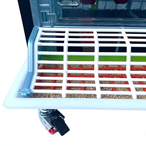 Hatching Time 9.5" Chick Brooders – Stackable with Automatic Heating, Modular Design, Easy to Clean, Ideal for Quail, Pheasant, and Baby Chicks (1 Layer) - style: 3 Section, 1 Layer