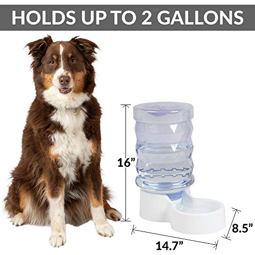 PetFusion H2O Gravity Pet Water Dispenser, 2.5 Gallon, Transparent