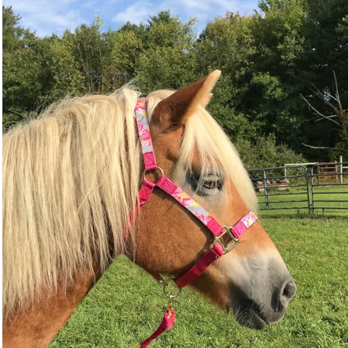 Patterned Nylon Adjustable Horse Halters with Padded Noseband and Matching 10’ Soft Grip Lead Rope with one Year Warranty - color: Grey Floral and Hot Pink