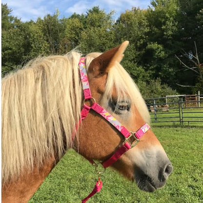 Patterned Nylon Adjustable Horse Halters with Padded Noseband and Matching 10’ Soft Grip Lead Rope with one Year Warranty - color: Grey Floral and Hot Pink