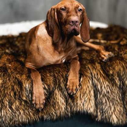 IHAPPYDOG Faux Fur Dog Blanket, Waterproof Couch Cover, Brown 80"x60" - color: Brown, size: 80" x 60"