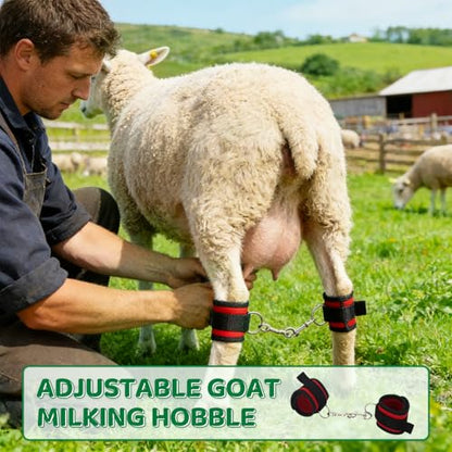 Goat Milking Hobbles Binding Straps,for Milking,Shearing 2 Pack,RED | Nylon Goat Binding Tool for Goat Mini Goat Nigerian Dwarfs Nubian Goats (Red)