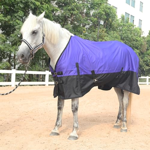 600D Horse Blanket, 0g No-Fill Waterproof Turnout Rain Sheet - color: Violet/Black, size: 78"
