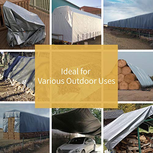 GUARD SHIELD Heavy Duty Tarp 8x10 Feet Silver Multi Purpose Thick Waterproof Poly Tarp Cover 10mil - color: Silver, size: 8x10