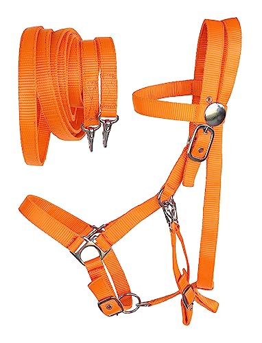 CHALLENGER English Western Cob Horse Nylon Halter Bridle Combo Reins Lime Orange 60111OR-c - color: Orange/Cob