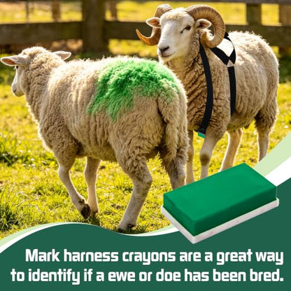 Ram Breeding Marking Harness for Sheep & Goat, 3 Pack Mating Crayon Block - color: Green