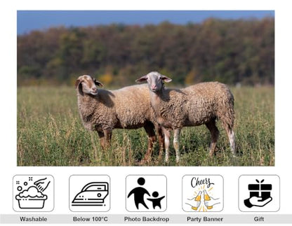 8x8ft Fabric Two Wool Sheep Backdrop Curly Light Fur Green Wild Grass Autumn Woodland Blur Background Photography Background Tapestry Farm Animal Portrait Photo Booth Props - size: 8x8ft