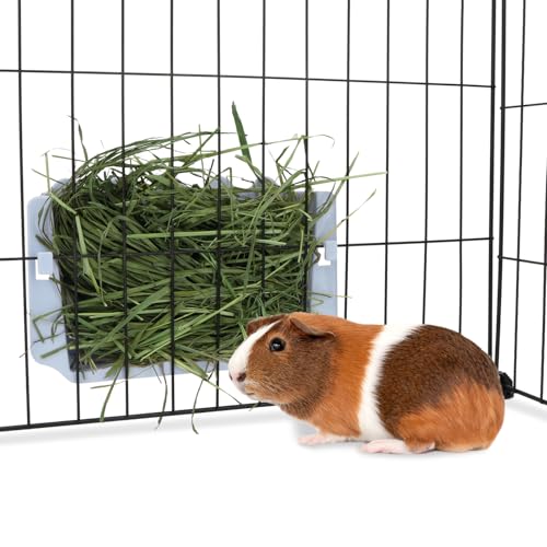 Hypeety Rabbit Hay Feeder Automatic Hay Rack for Guinea Pigs, Blue - color: Blue, size: 1pc