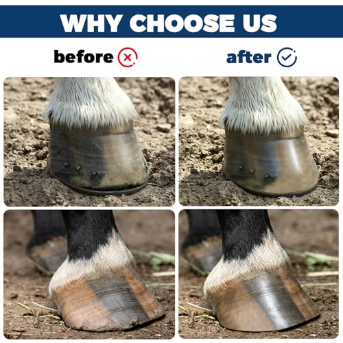 2Pcs Hoof Rasp File, Ergonomic Grip Portable Farrier Rasp, Hoof Trimming Tool for Ponies, Goats, Pigs, Donkeys and Small Animals