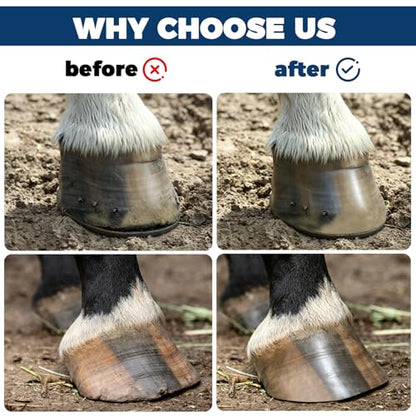 2Pcs Hoof Rasp File, Ergonomic Grip Portable Farrier Rasp, Hoof Trimming Tool for Ponies, Goats, Pigs, Donkeys and Small Animals