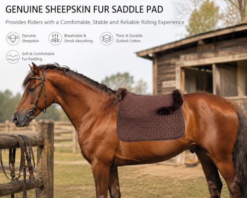 Woolous Dressage Saddle Pad, English Saddle Pad with Sheepskin Trim, Lambskin Wool Fleece Lining, Square Saddle Pad for Equestrian Riding, Comfortable & Shock Absorbing - color: Brown