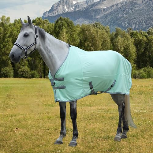 Horse Fly Sheet Lining, Mesh Equine Sheets Fly Rug, UV Protection | Breathable Mesh Fly Sheet for Horse, Equine Summer Sheet, Bug Mosquito FlySheet for Stable, Pasture, Barn (81", Mint Green) - size: 81 Inch