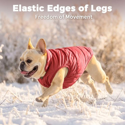 JoyDaog Fleece Lined Dog Jacket for Small Dogs,Winter Dog Coat,Red M - color: Red, size: Medium