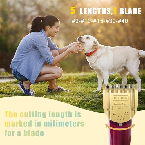 Adjustable Dog Grooming Clipper 5-in-1 Blade Compatible with WAHL Professional Animal Clipper Arco, Bravura, Chromado, Creativa, Figura, and Motion Pet, Dog, and Horse (Gold/3pc) - color: Gold/3pc