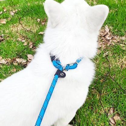 20FT Long Slip Lead Dog Training Leash 3/8" Thick Nylon Rope Leash | Reflective Anti-Choking Slip Leash with Comfortable Handle, Quick Control Medium Large Dogs No Pull (20ftx3/8", Blue) - color: Blue, size: 3/8in x 20ft