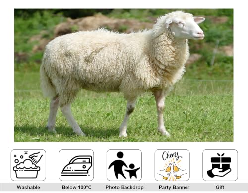 5x3ft Fabric Fluffy Wool Sheep Backdrop White Curly Coat Lush Bright Green Grass Blurred Wild Bush Pasture Background Tapestry Party Farm Birthday Wall Decorations Photo Booth Props - size: 5x3ft