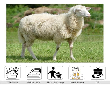 5x3ft Fabric Fluffy Wool Sheep Backdrop White Curly Coat Lush Bright Green Grass Blurred Wild Bush Pasture Background Tapestry Party Farm Birthday Wall Decorations Photo Booth Props - size: 5x3ft