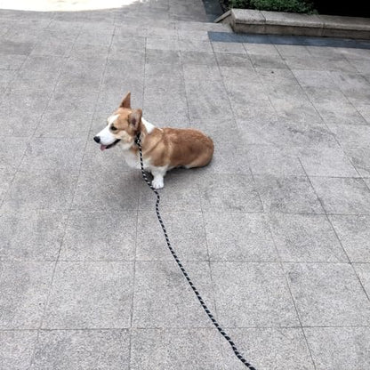 12FT 20FT Anti-Choking Long Training Lead, Reflective 3/8" Slip Lead Rope Dog Leash with Padded Handle, No Pull Leash for Medium Large Dogs (20ft, Black) - color: Black, size: 3/8in x 20ft