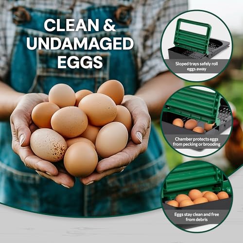 Homestead Essentials Classic Style 2 Compartment, Forward Rollout and Rollaway, Hen & Chicken Nesting Box with Integrated Perch and Protective Egg Laying Collection Lids - size: 20.8"L x 20.5"W x 20.0"H