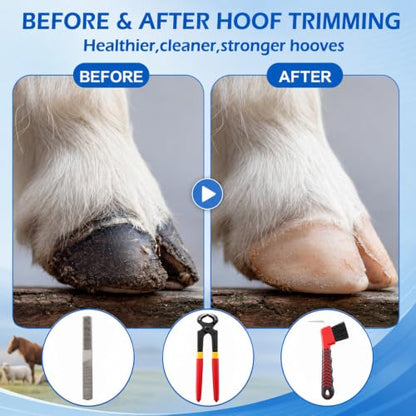 8Pcs 8" Farrier Tool Kit, Hoof Rasp Nipper Trimmer Brush Calf Sling - style: Complete Hoof Care Kit