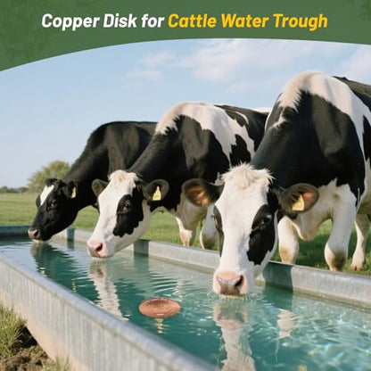 Copper Disk for Cattle Water Trough|4-inch Diameter,0.6mm Thick|99.99% Pure Copper Disc|Automatic Cattle Water Trough Purification Disk with 4 Point Support|Purify Water All Year Round
