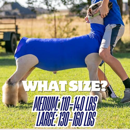 Show Pro Red Spandex Lamb Tube for Show Sheep & Lamb - Show Livestock Supplies: Sheep Covers & Blankets (Medium) - size: Medium