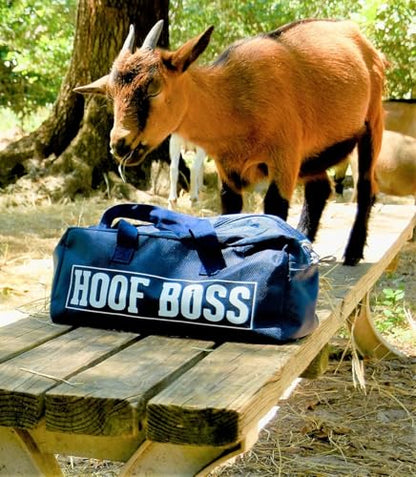 Goat Hoof Trimmers Kit, 110V Electric Set with Supplies - size: Goat Hoof Trimming