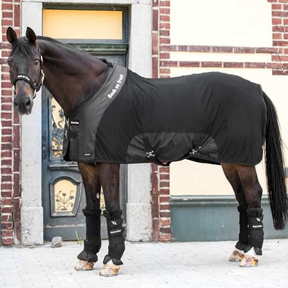Back on Track Royal Mesh Sheet Deluxe Horse Blanket - color: Black, size: 78" (145cm)